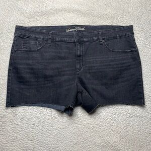 Universal Thread Shorts Black stretchy, size 20 Comfy